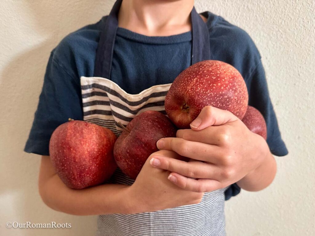 Apples for the traditional Catholic Paradeisl